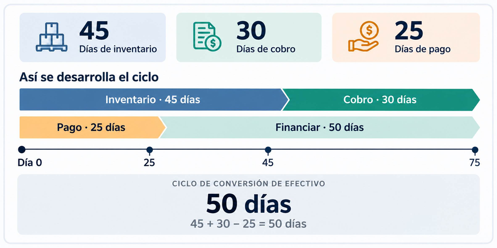 detalle del ciclo de conversión de efectivo como ejemplo